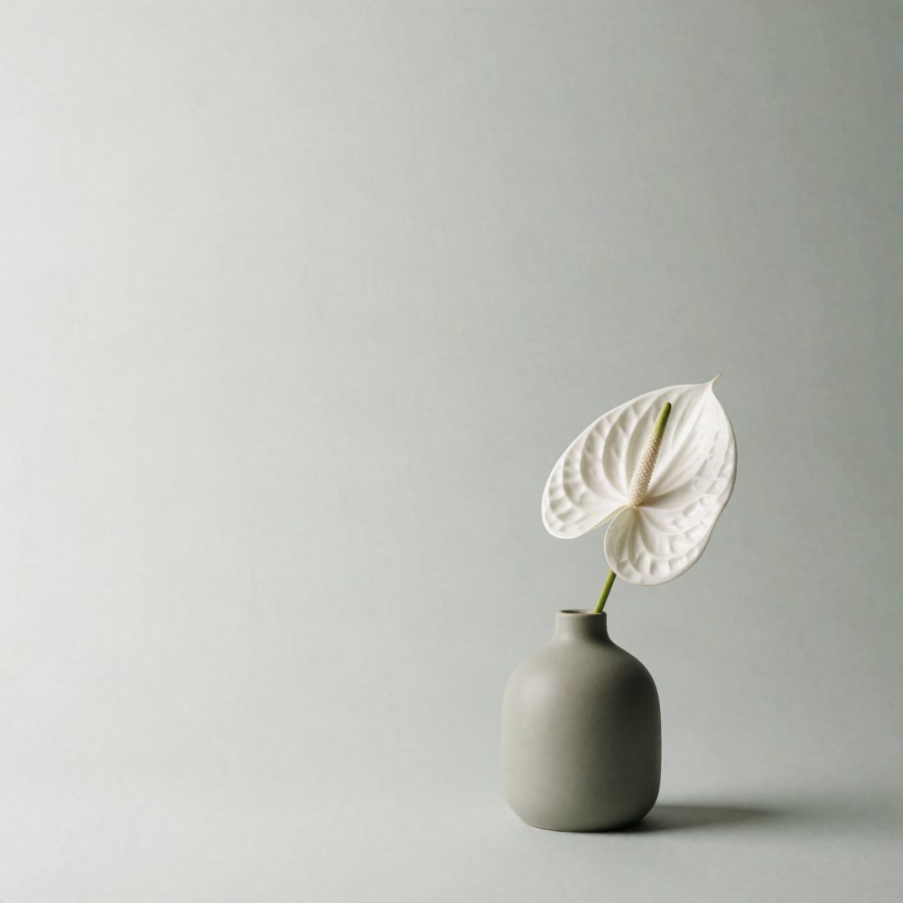 Vaso cinza com uma flor branca de antúrio sobre fundo claro e neutro