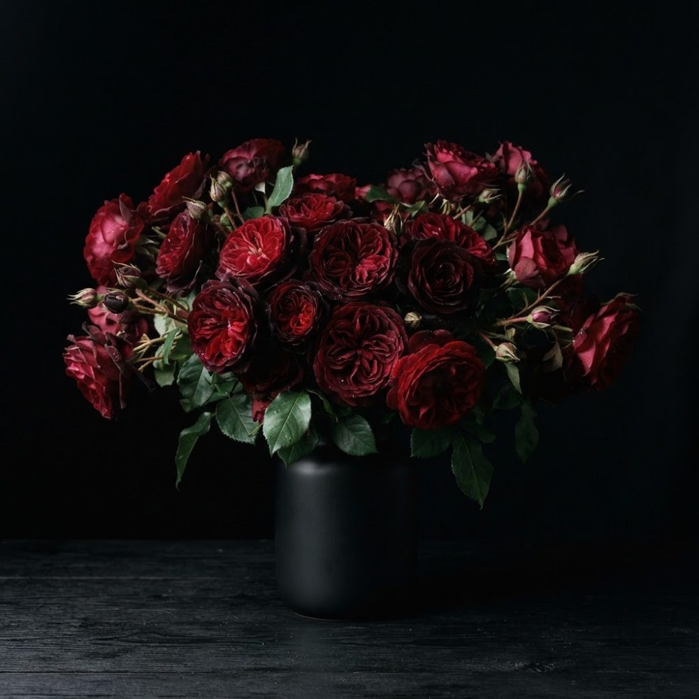 Vaso preto com arranjo de rosas vermelhas contra fundo preto escuro
