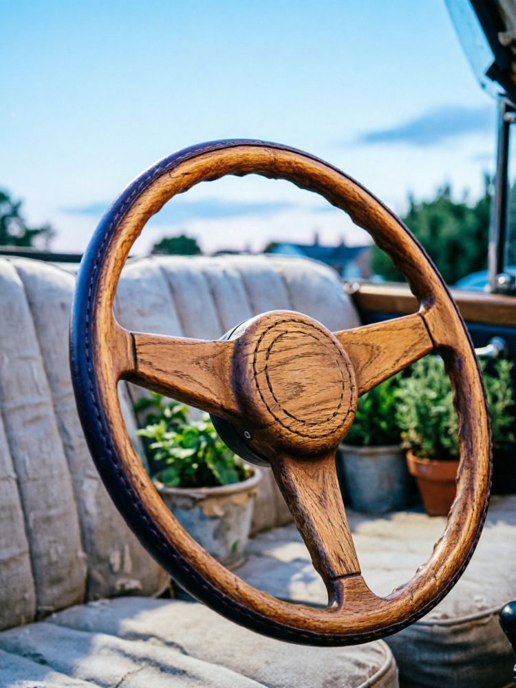 Volante de madeira num carro clássico com banco estofado e plantas ao fundo