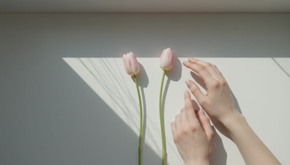 Duas tulipas cor-de-rosa com caules finos e mãos femininas delicadas numa superfície branca iluminada