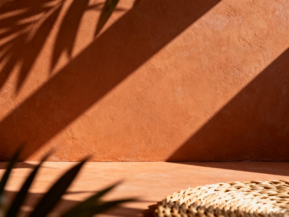 Superfície e parede texturizadas de terracota com sombras de folhas de plantas