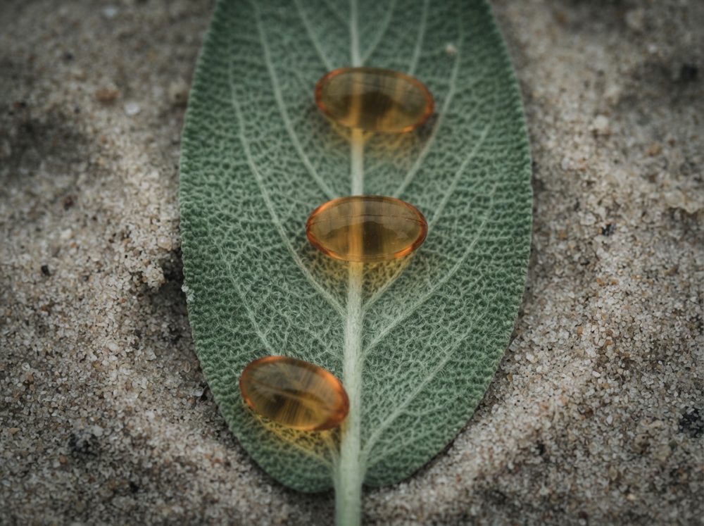 Três cápsulas amarelas sobre uma folha verde com padrão visível, em fundo de areia