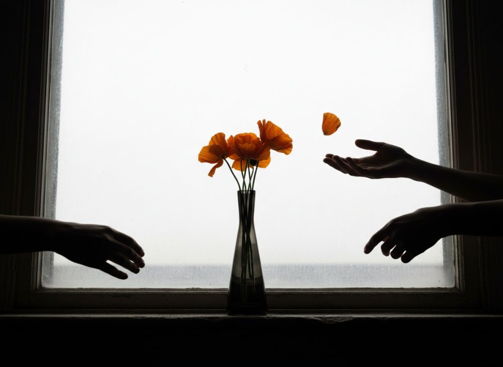 Flores laranja numa jarra com silhuetas de mãos contra janela iluminada