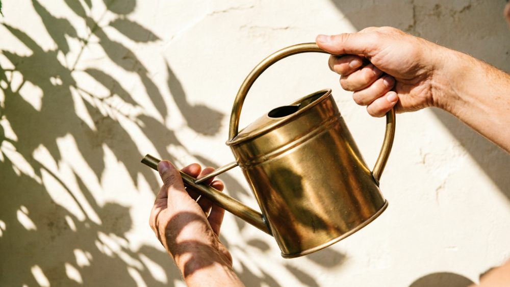 Mãos seguram regador metálico dourado com fundo claro e sombras de plantas