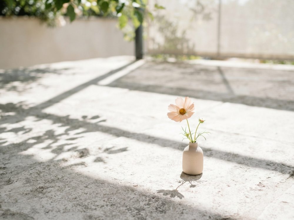 Pequeno vaso branco com flor cor-de-rosa suave sobre superfície clara iluminada por luz solar