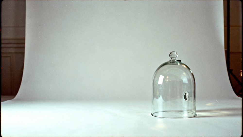 Campânula de vidro transparente isolando planta para jardinagem