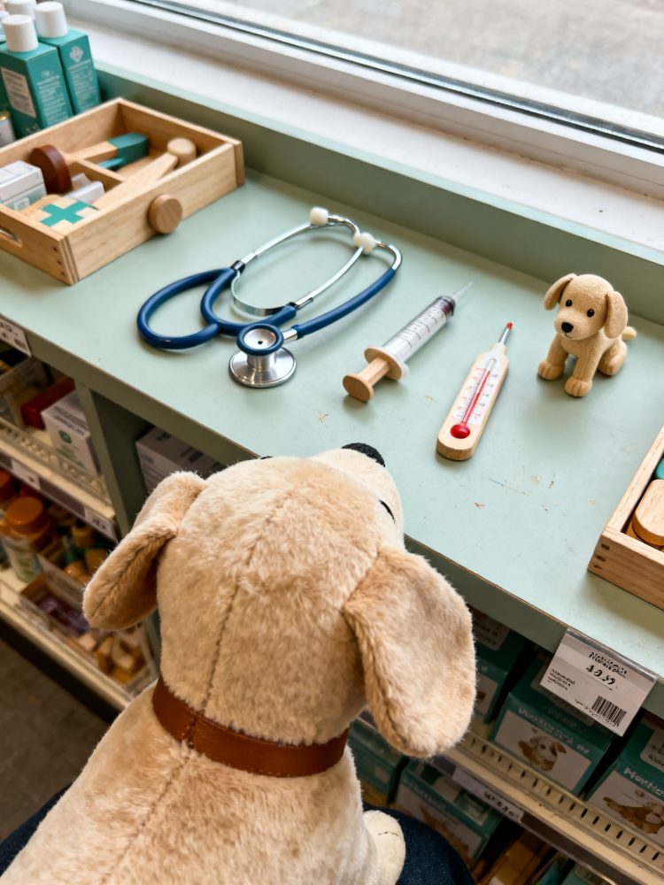 Brinquedos de veterinária com estetoscópio, seringa, termómetro e peluche de cachorro castanho claro
