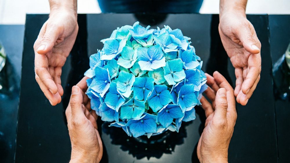 Quatro mãos rodeiam um vaso com flor azul sobre mesa preta vista de cima