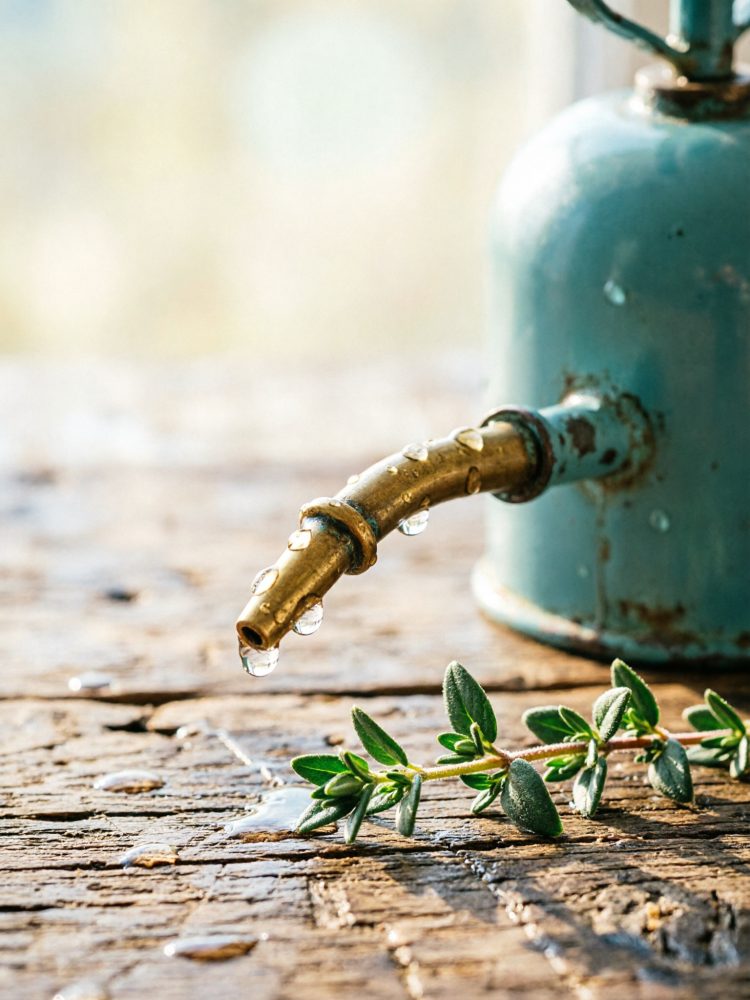 Regador metálico azul vintage com gotas de água perto de ramo verde em madeira rústica