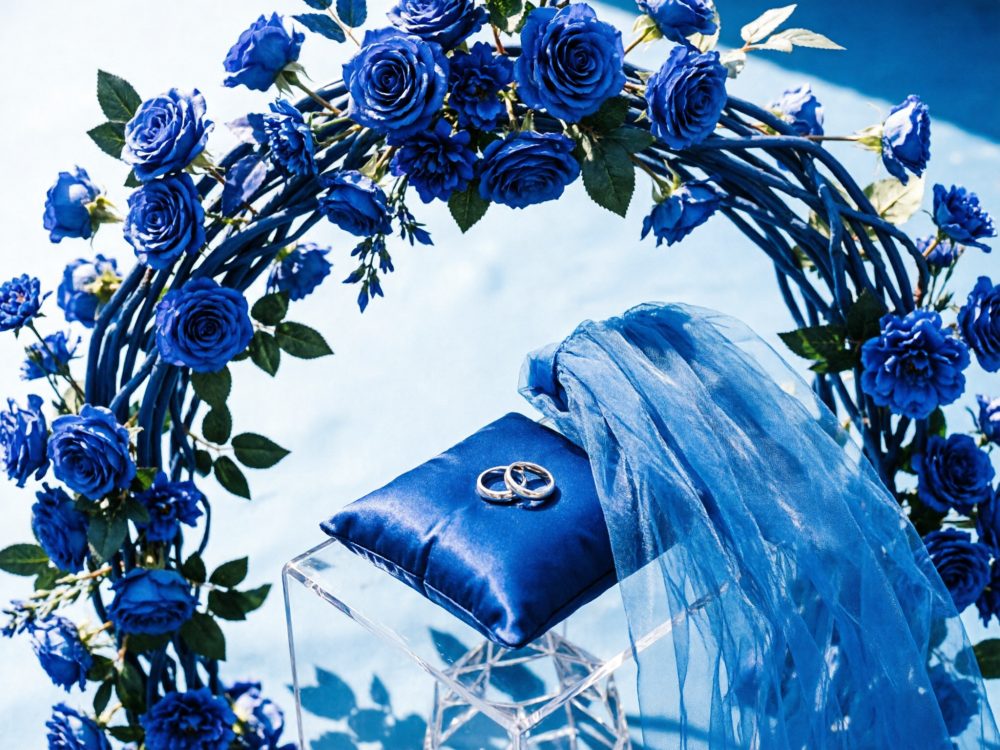 Altar de casamento com arco de rosas azuis, almofada azul com alianças e tecido transparente azul