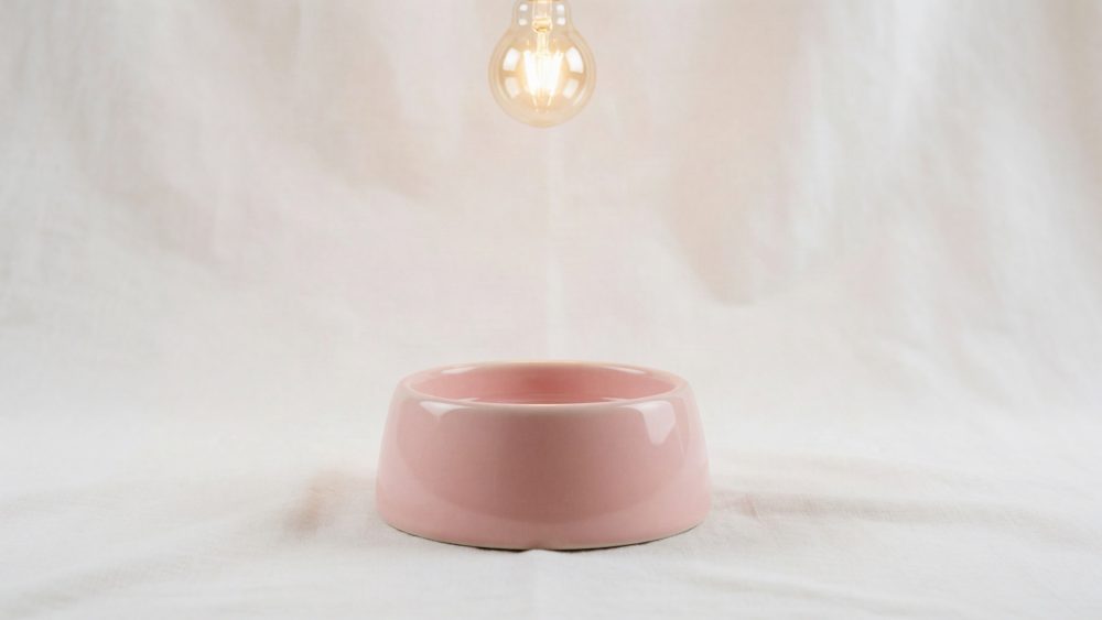Comedouro cor-de-rosa em cerâmica para animais com lâmpada quente ao fundo