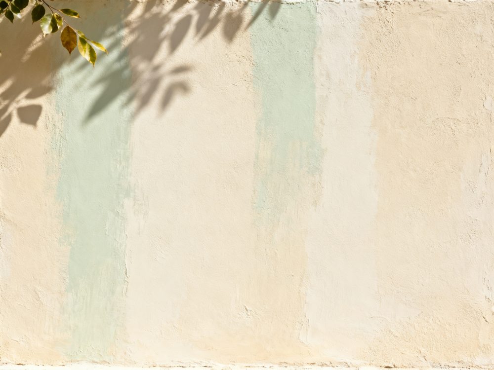 Parede texturada creme e verde pastel com sombras de folhas no topo