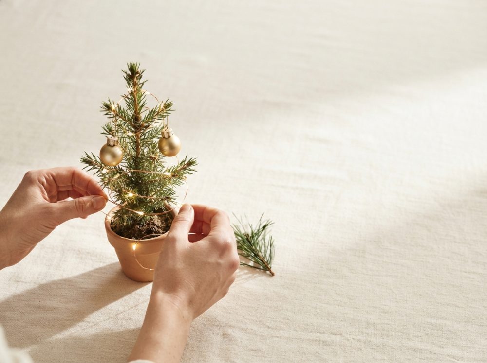 Mini árvore de Natal com decoração dourada e luzes LED num vaso de barro com mãos a ajustar as luzes