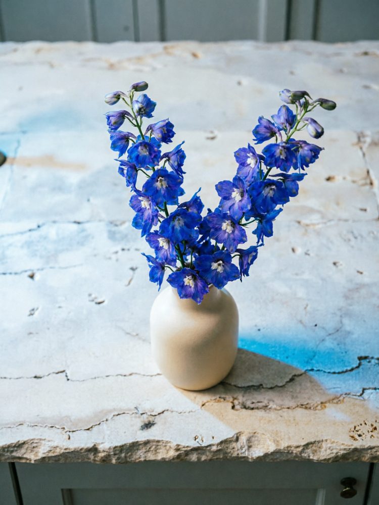Flores azuis num vaso branco sobre superfície rústica de pedra com iluminação suave