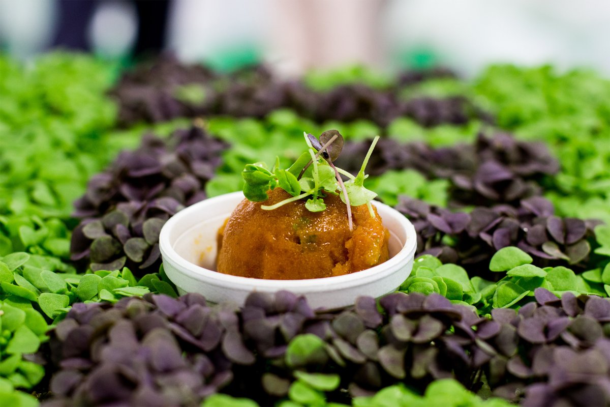 Microgreens: uma pequena ideia com sabor