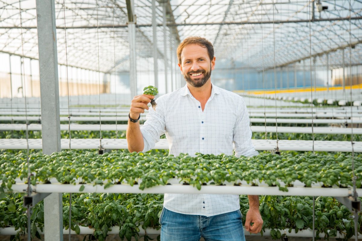 GroHo Hidroponia: A arte de cultivar sem solo