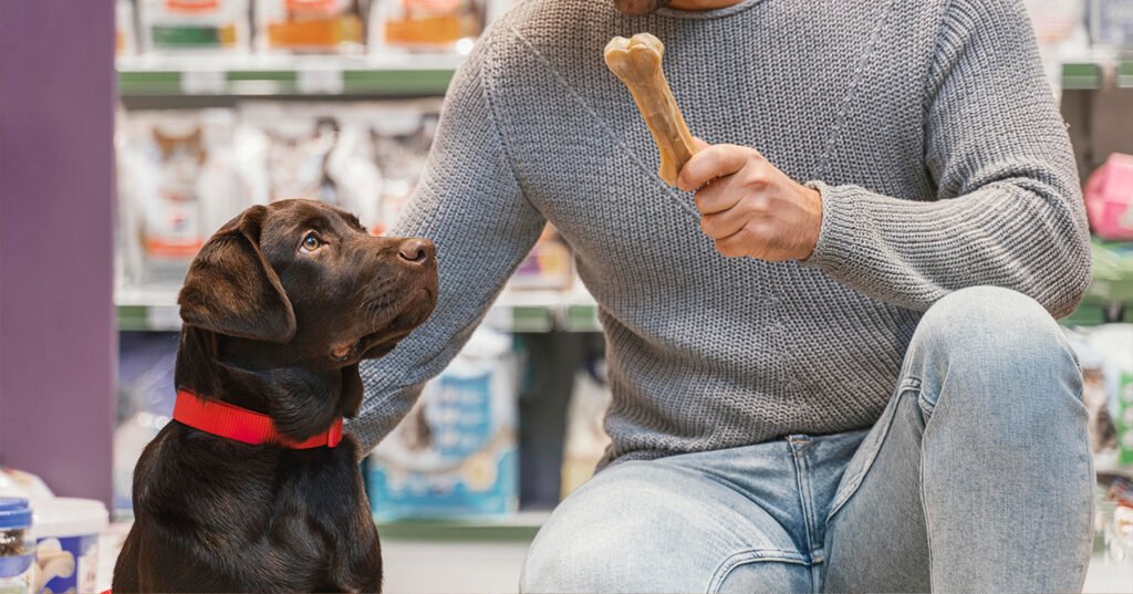 Loja online com produtos para animais Loja online com produtos para animais