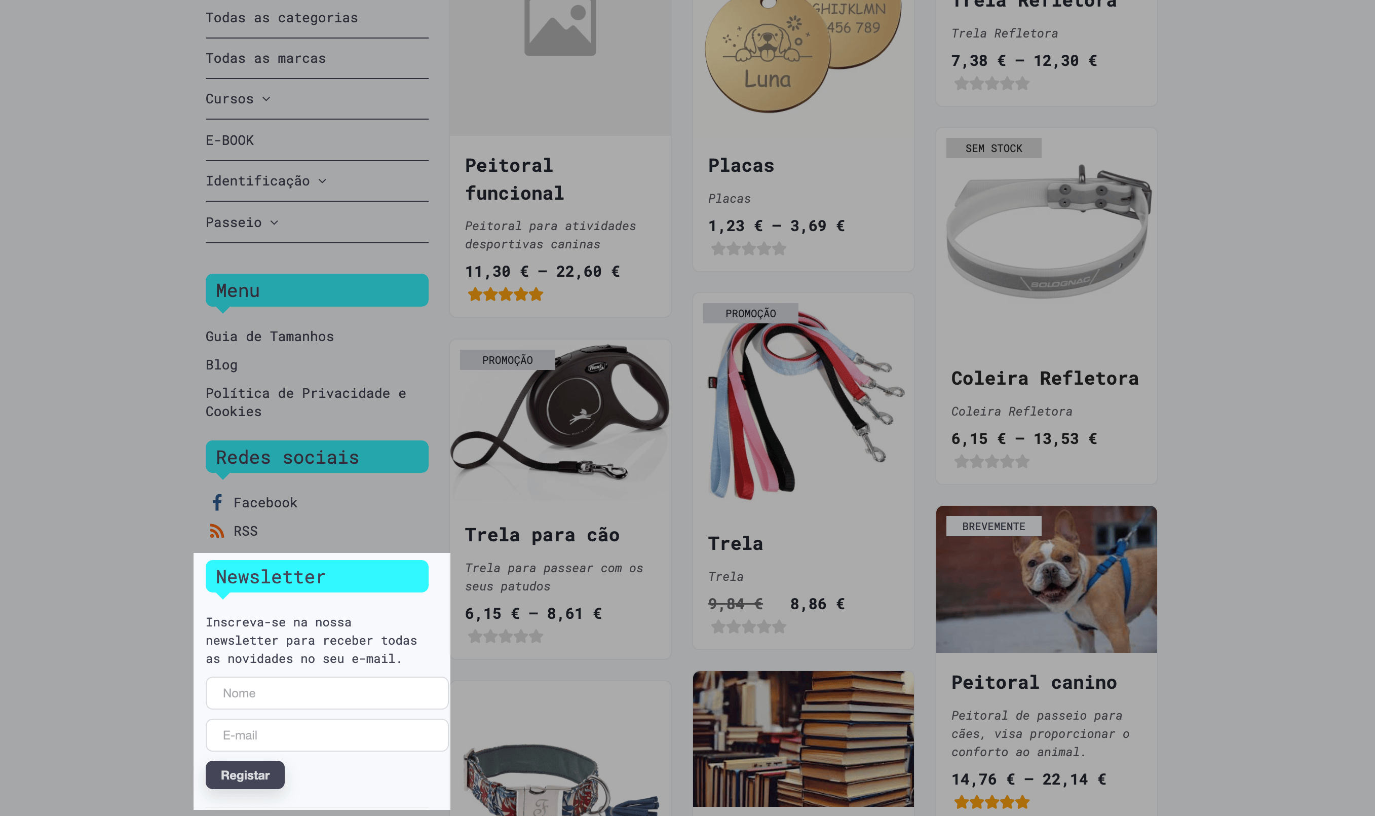 Módulo da newsletter