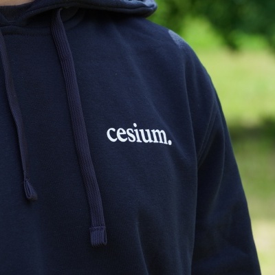 Hoodie&#x20;&quot;Your&#x20;Mind&#x20;is&#x20;Programmable&quot;