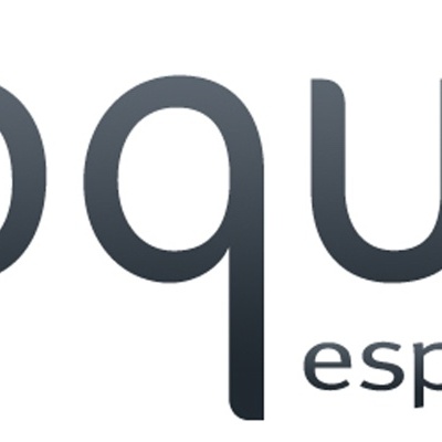 Logotipo com texto toque especial em preto sobre fundo branco