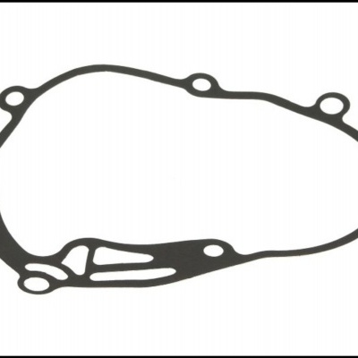 Junta preta circular irregular com orifícios sobre fundo branco