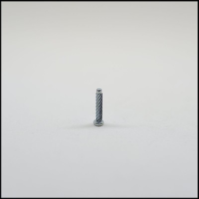 Parafuso pequeno de metal com cabeça redonda sobre fundo branco