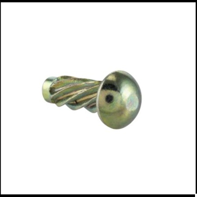 Parafuso metálico com cabeça redonda e corpo helicoidal em fundo branco