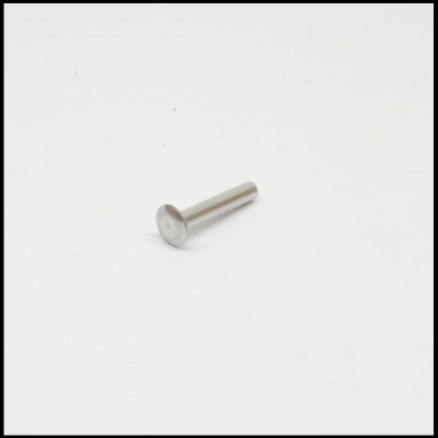 Parafuso metálico prateado com cabeça plana