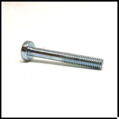 Parafuso metálico com cabeça redonda e rosca.