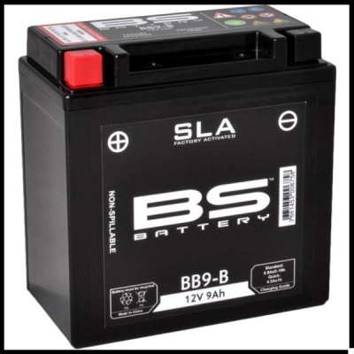 Bateria BS com texto e etiquetas visíveis