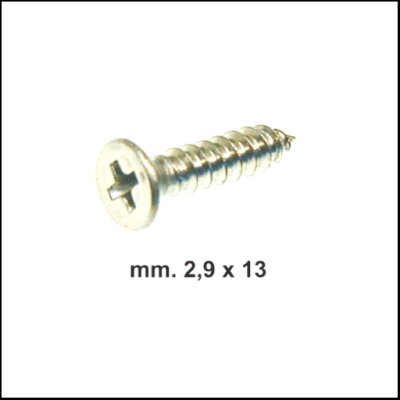 Parafuso metálico prateado com cabeça Phillips