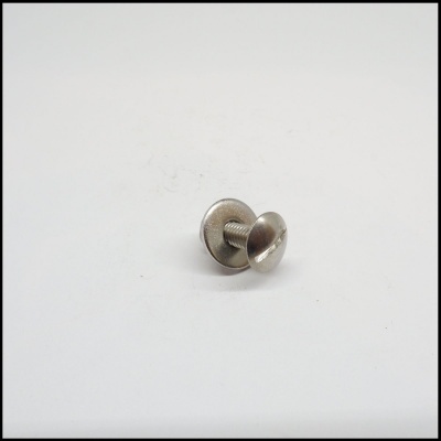 Parafuso metálico prateado redondo com botão