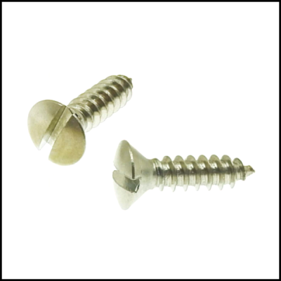 Dois parafusos de metal com cabeça chata sobre fundo branco