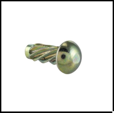 Parafuso metálico com cabeça redonda e corpo helicoidal em fundo branco