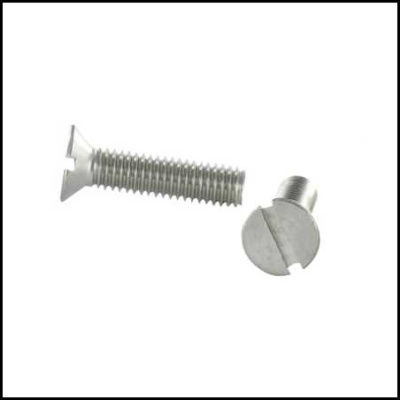 Parafusos metálicos prateados com ranhuras para chave de fenda em fundo branco