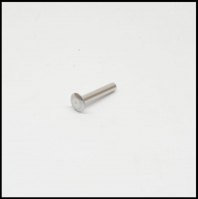 Parafuso metálico prateado com cabeça plana