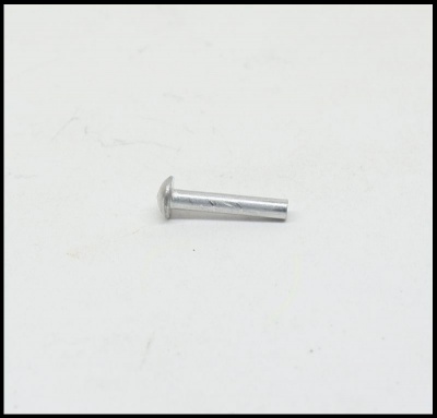 Parafuso metálico com cabeça arredondada e corpo cilíndrico sobre fundo branco