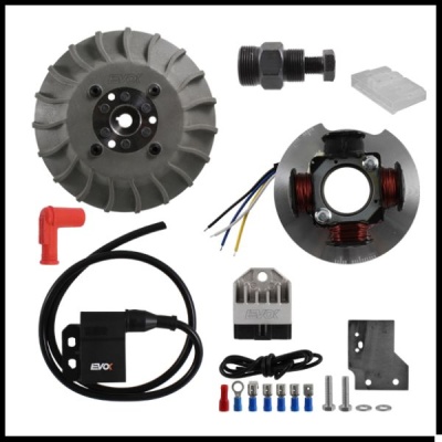 Conjunto de componentes elétricos para motor com bobina, rotor e parafusos