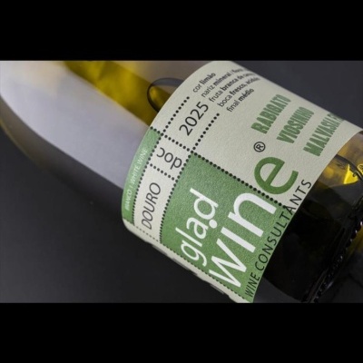 Garrafa de vinho branco com rótulo verde e branco em fundo escuro