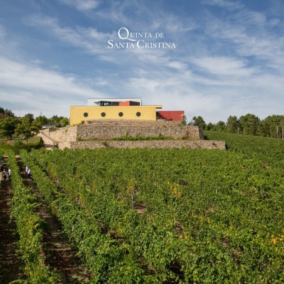 Vinha verde e edifício amarelo e vermelho sob céu azul