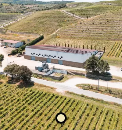 Edifício branco com saídas de ar e vinhas ao redor