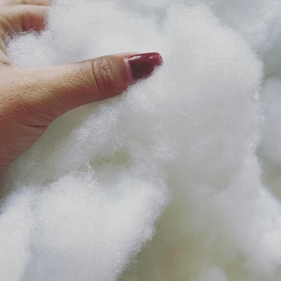 Mão segurando fibra branca fofa semelhante a algodão.
