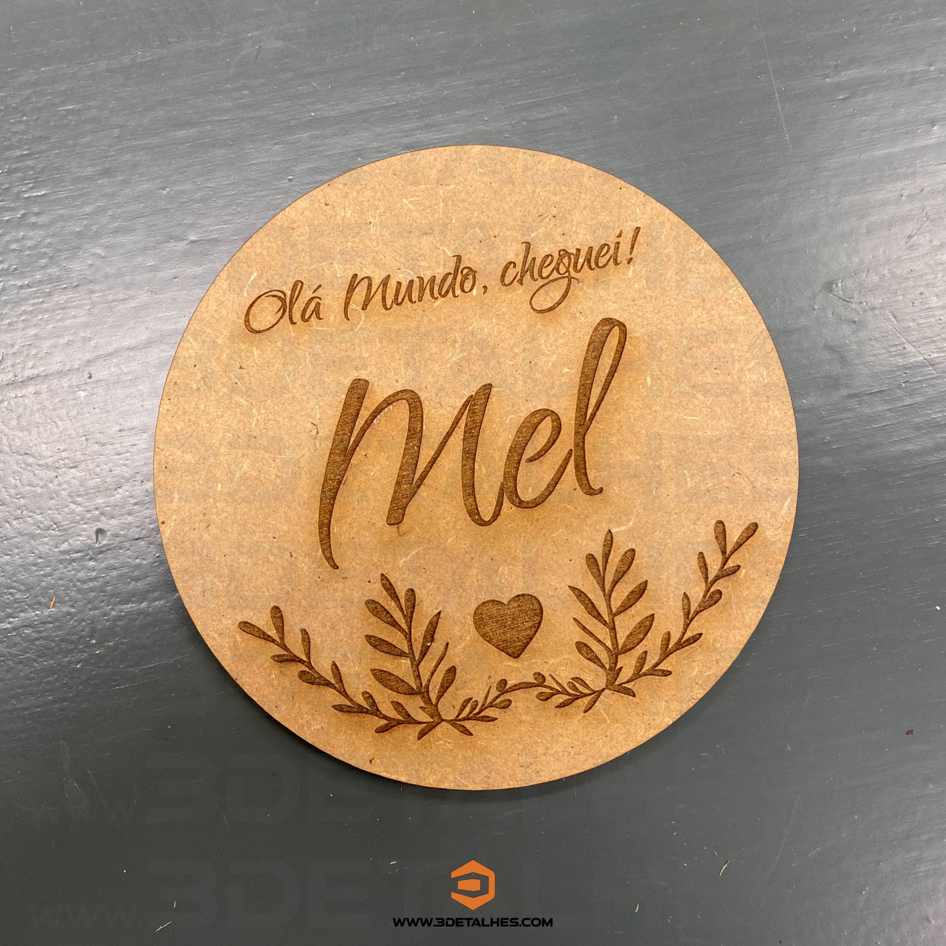 Placa Olá Mundo