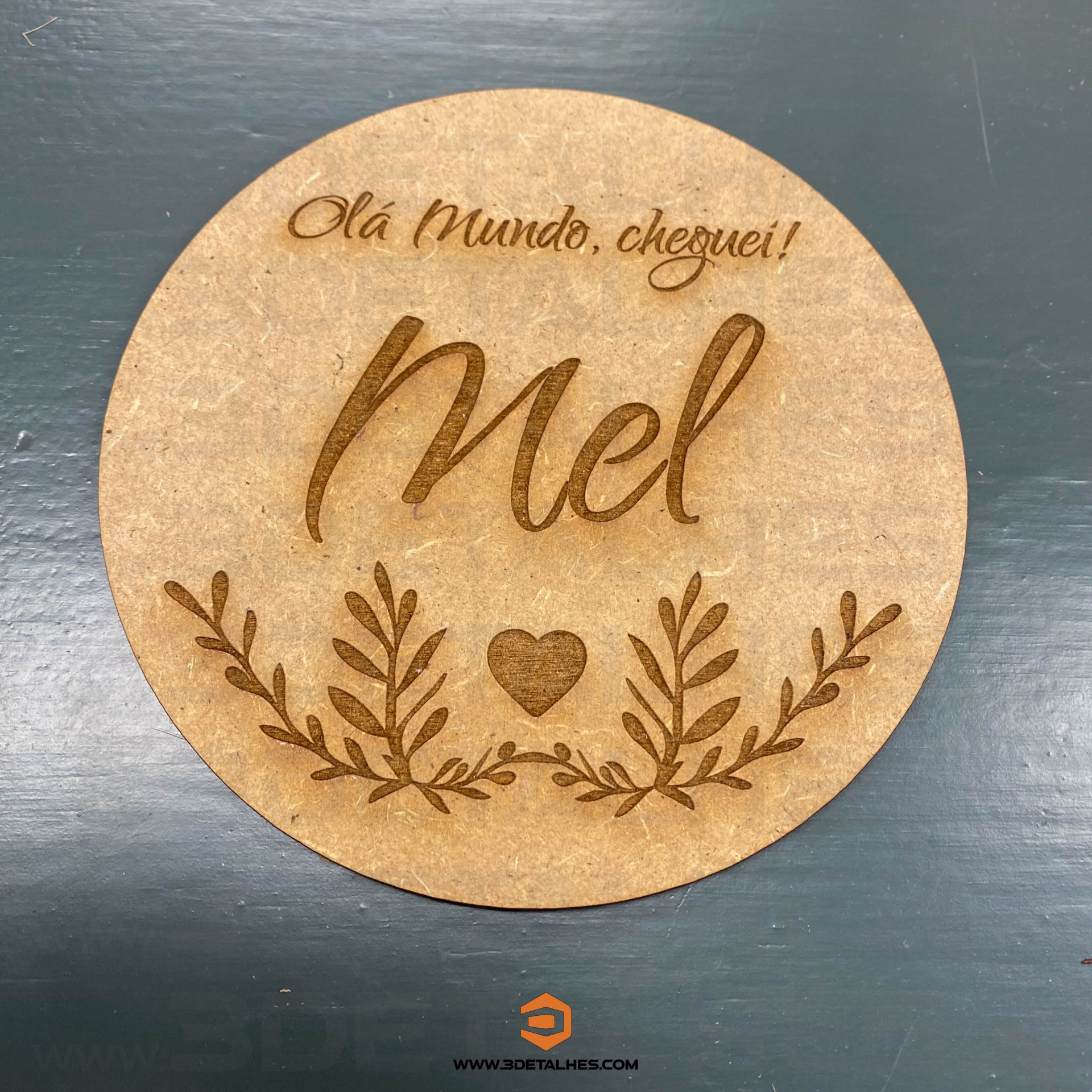 Placa Olá Mundo