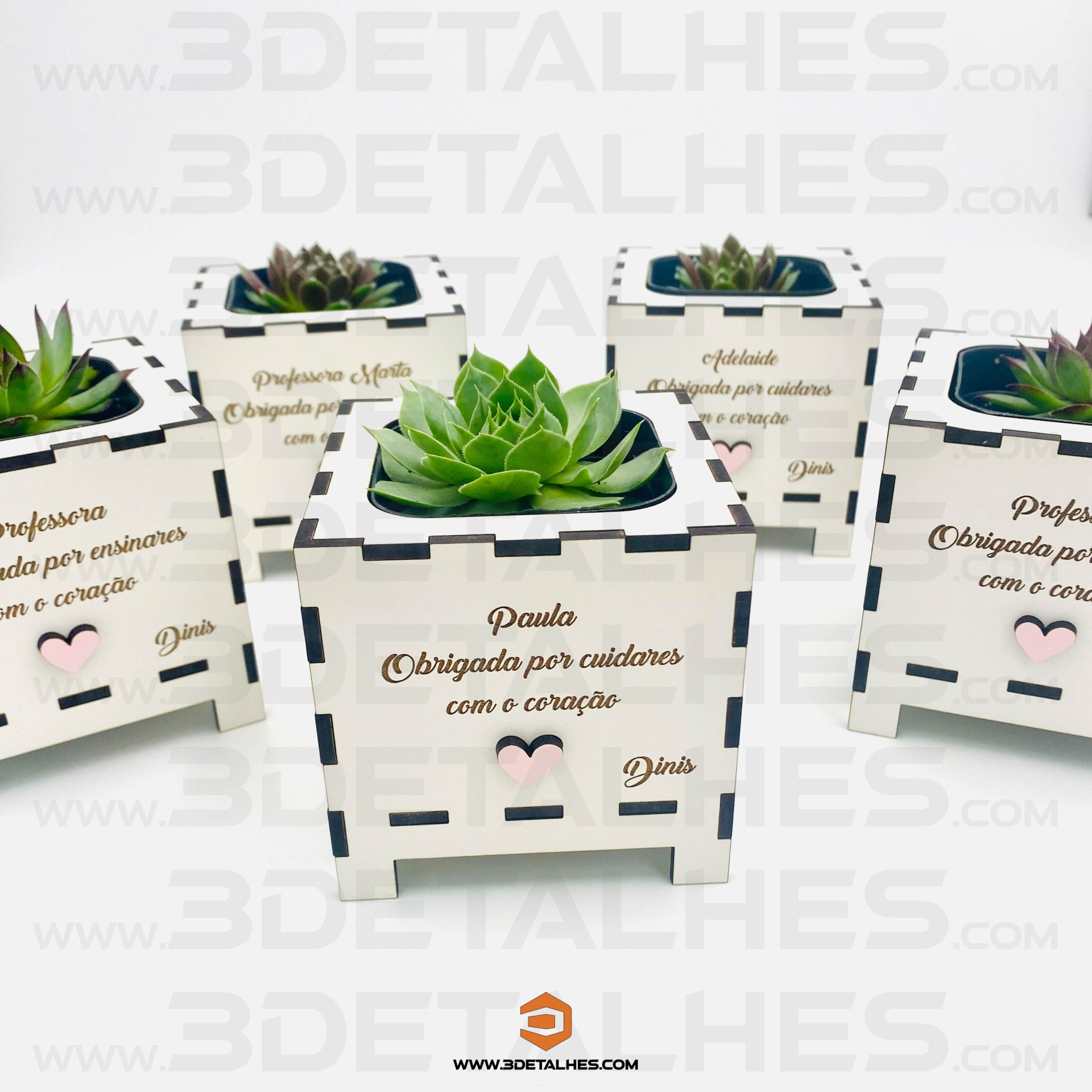 Vaso Branco com Suculenta