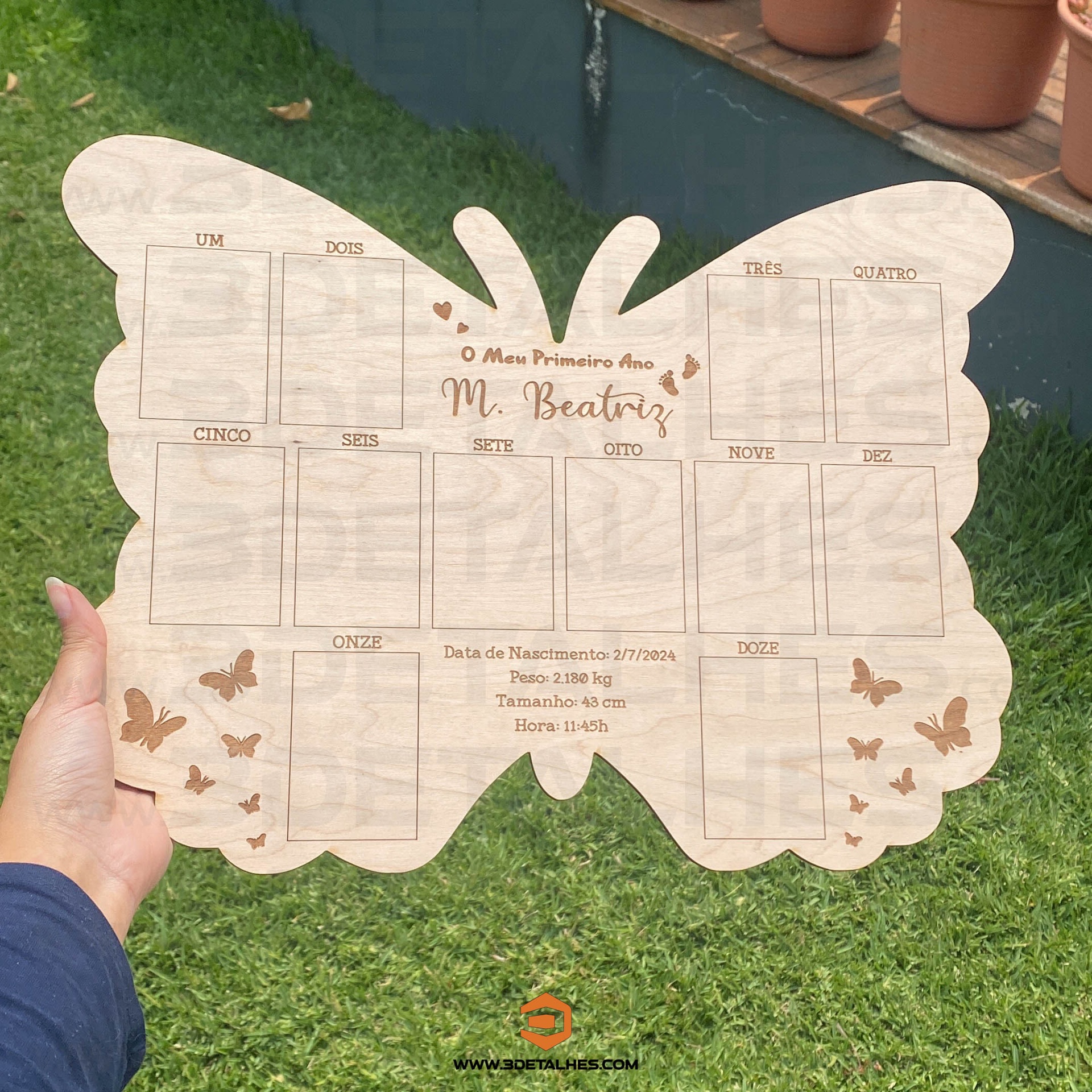 Placa de Nascimento - Borboleta 40cm
