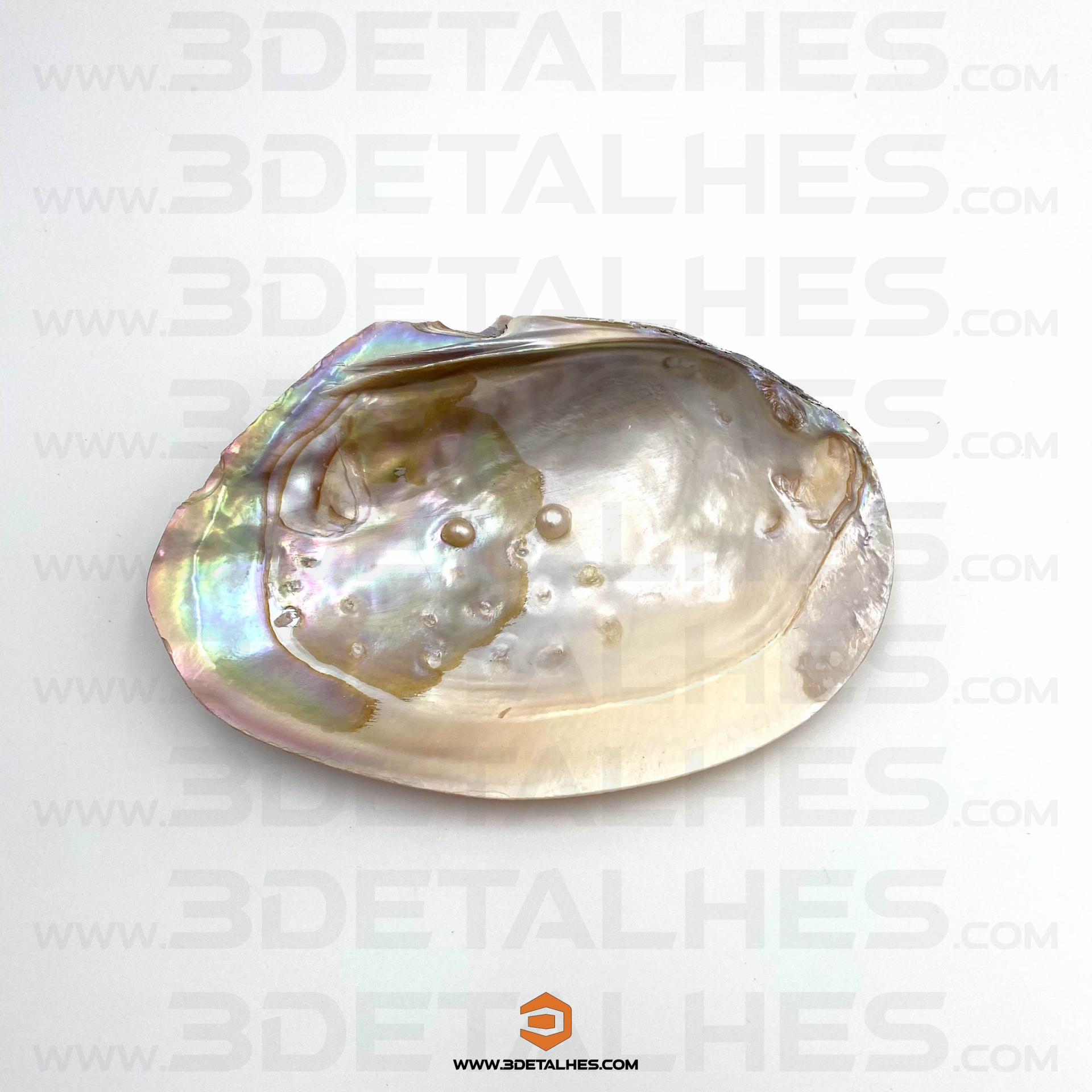 Concha Madrepérola Natural