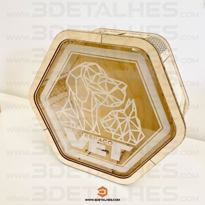 Caixa hexagonal transparente com desenho geométrico de cão e gato e texto ESPAÇO VET