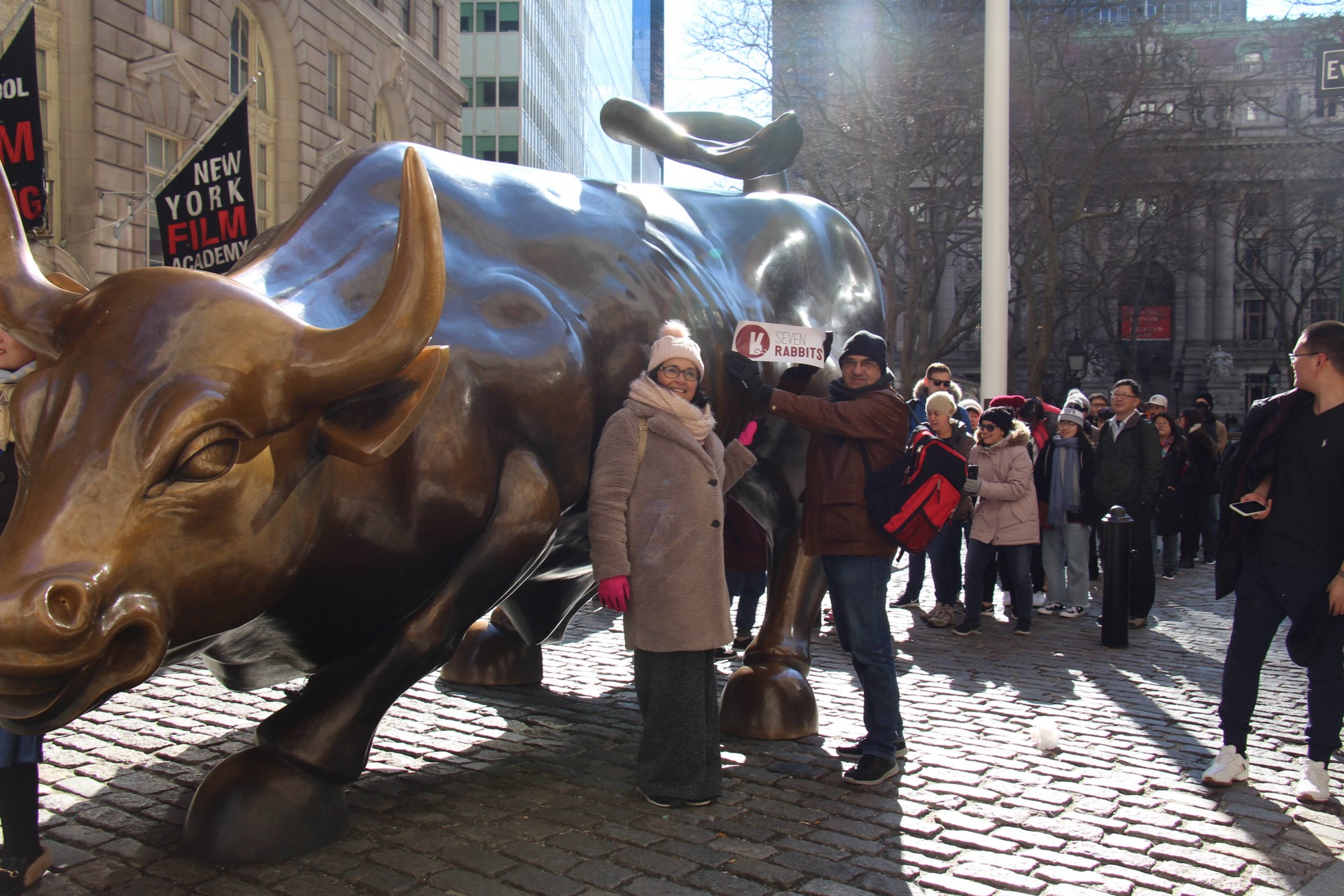 Charging Bull