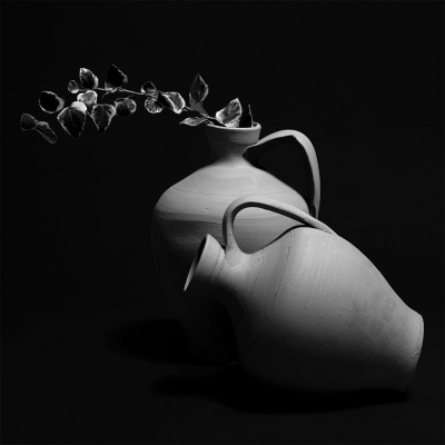 Dois jarros cerâmicos brancos com ramo seco em fundo preto